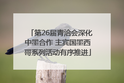 第26届青洽会深化中墨合作 主宾国墨西哥系列活动有序推进